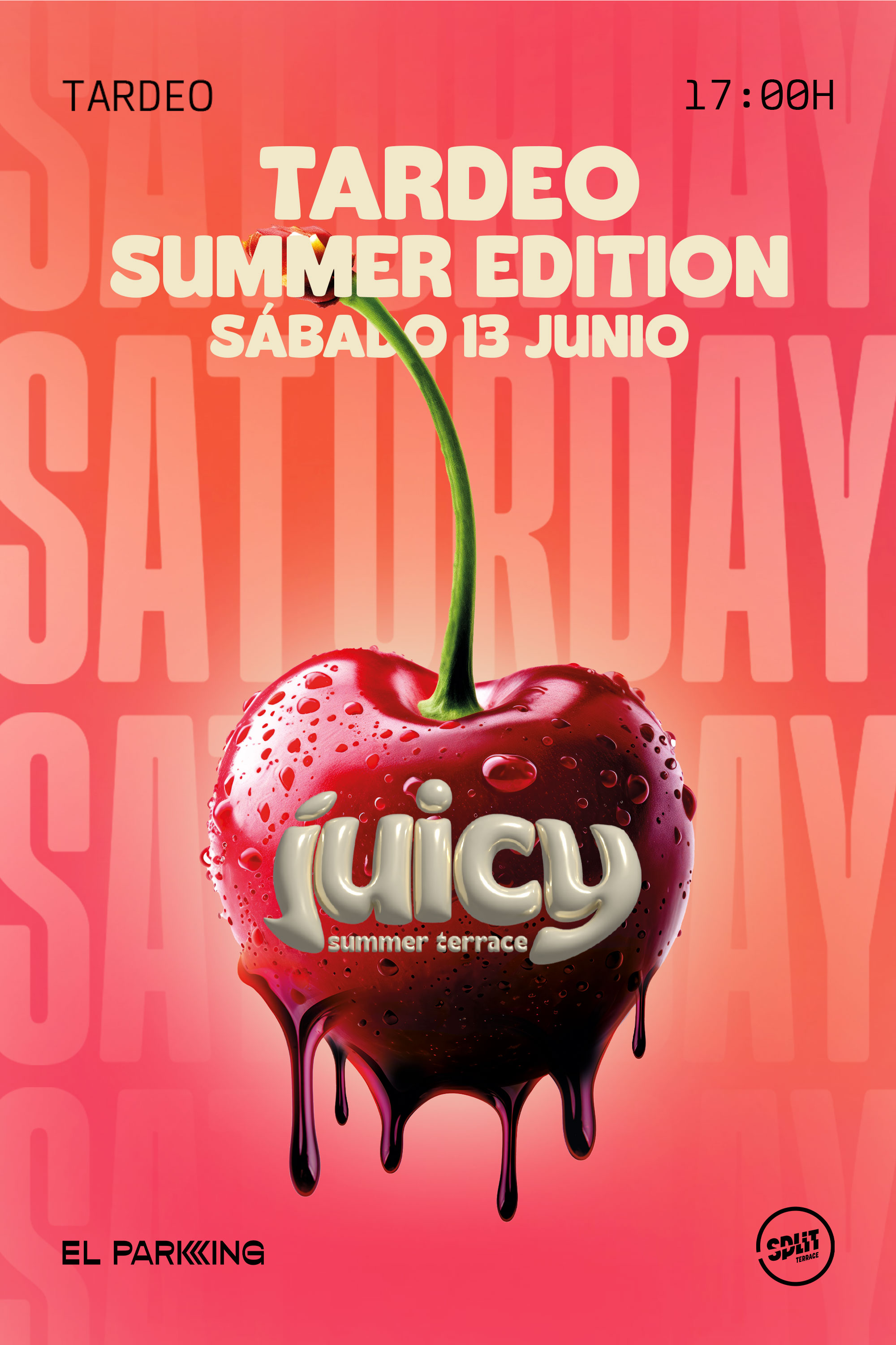 SABADO 13 DE JUNIO