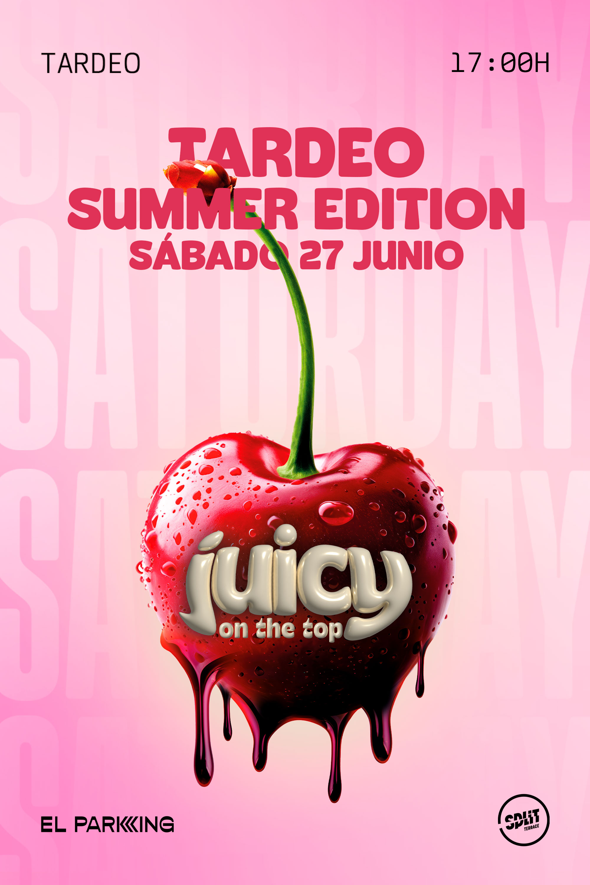 SABADO 27 DE JUNIO
